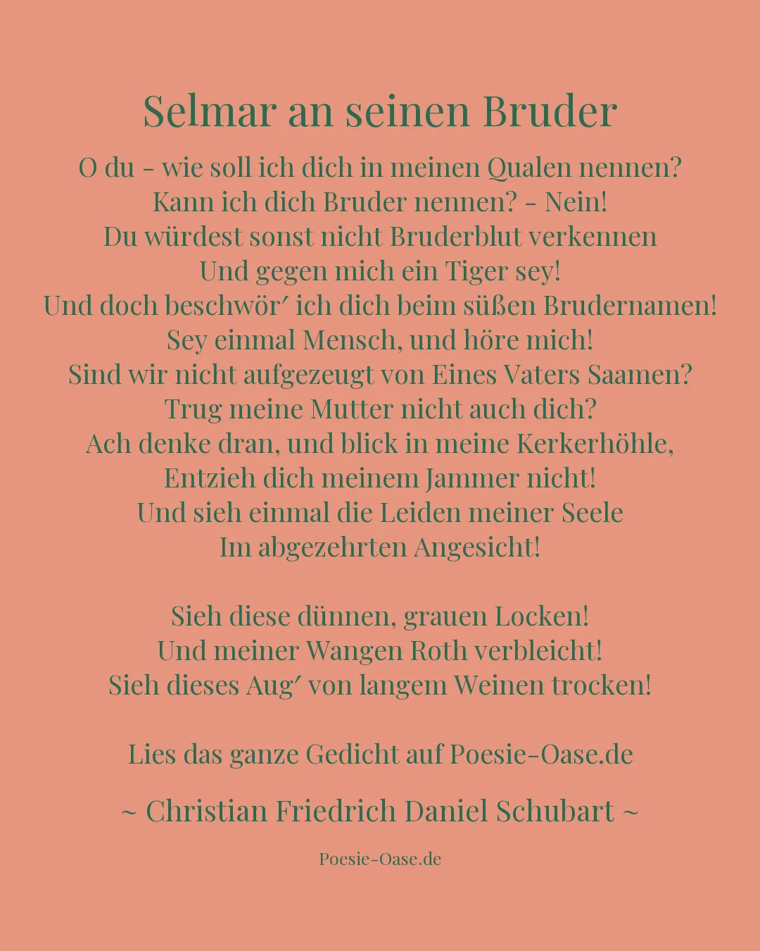 Illustration zu Selmar an seinen Bruder