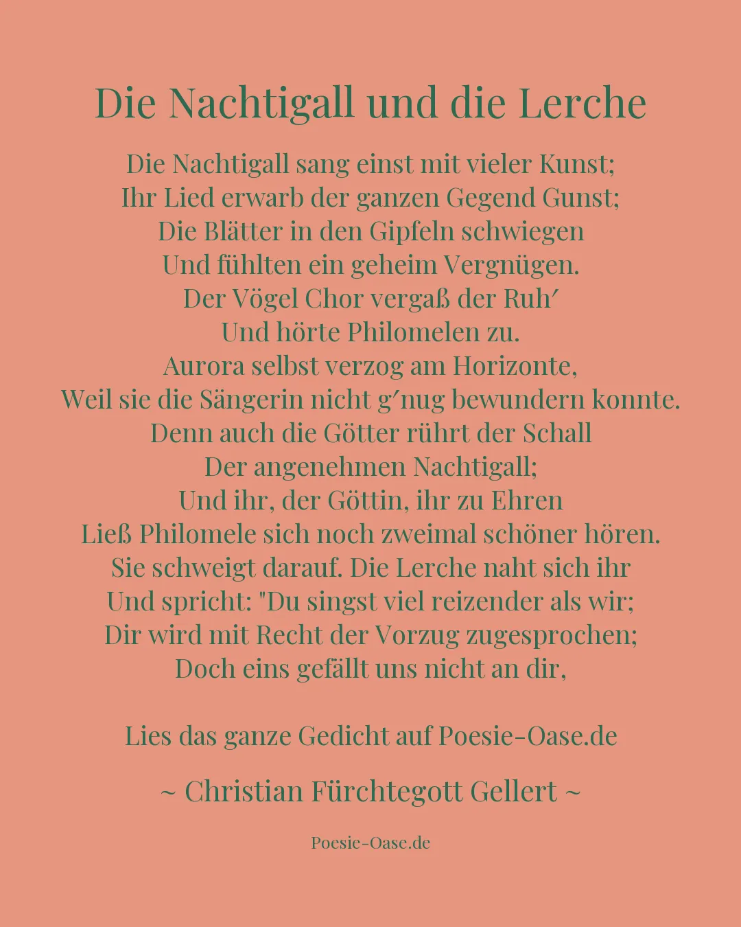 Illustration zu Die Nachtigall und die Lerche