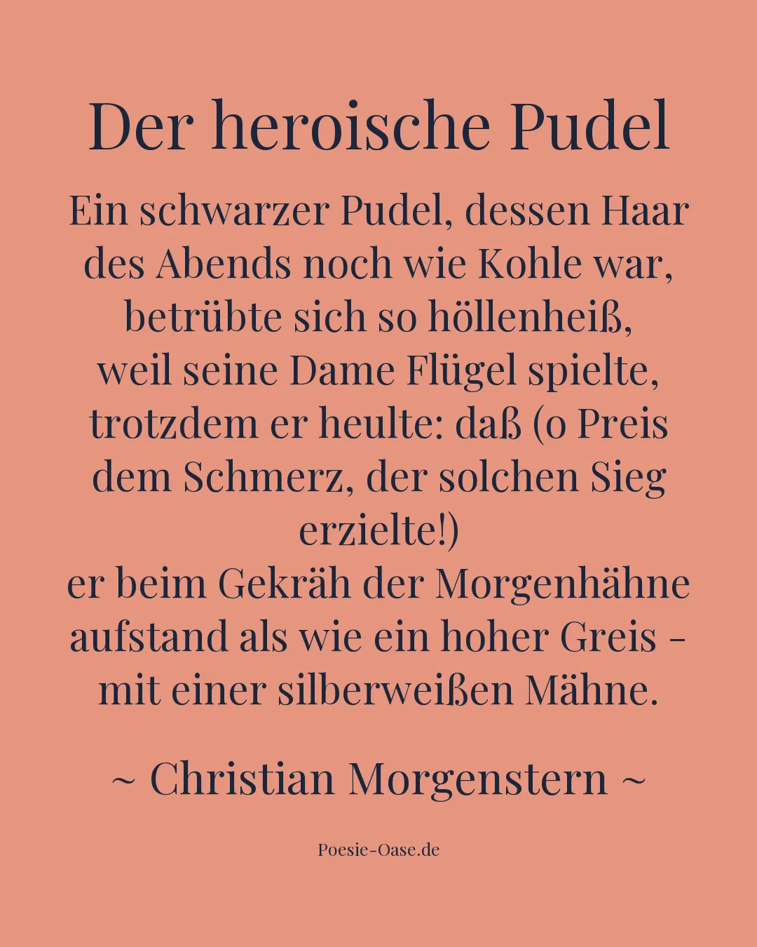 Illustration zu Der heroische Pudel