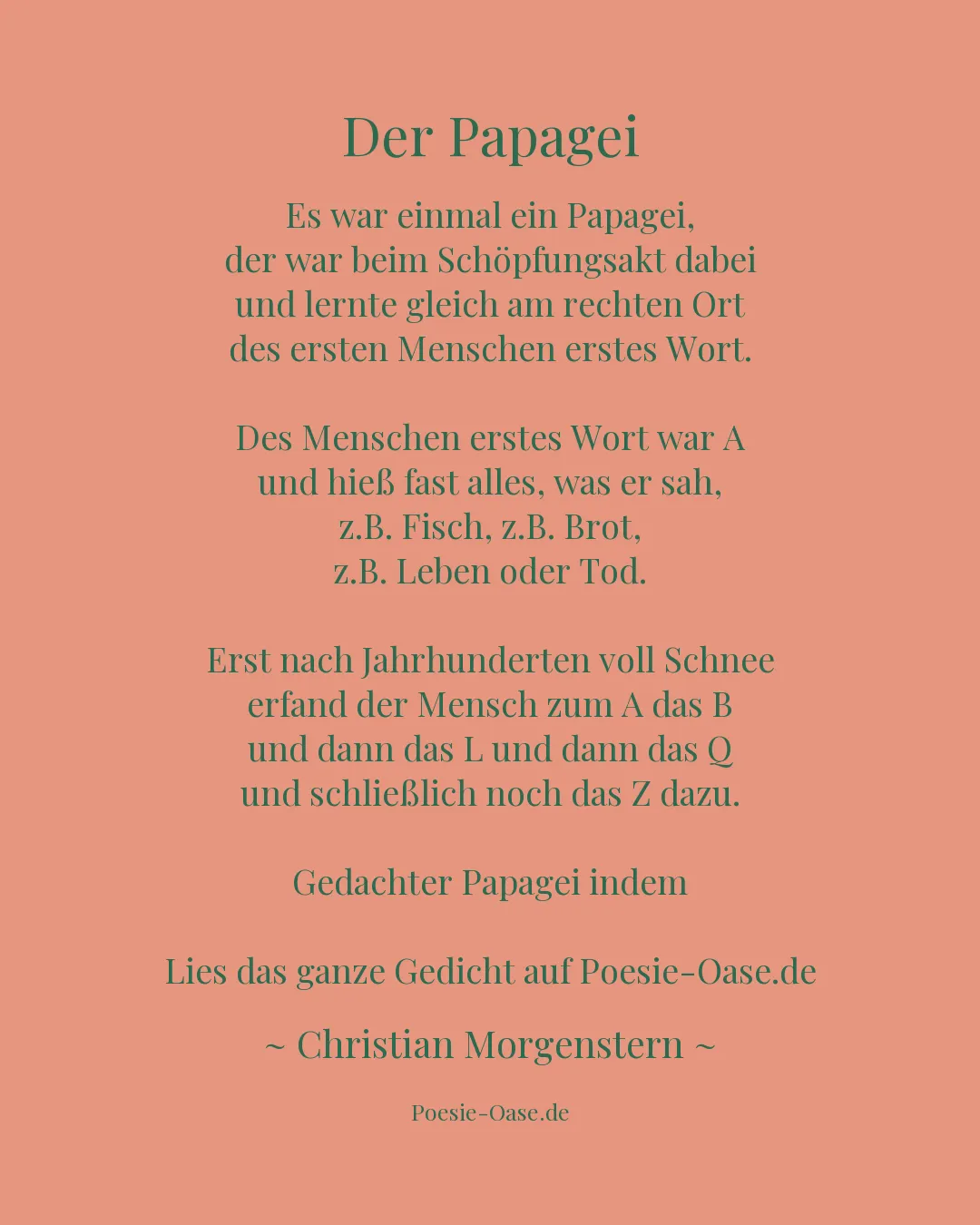 Illustration zu Der Papagei