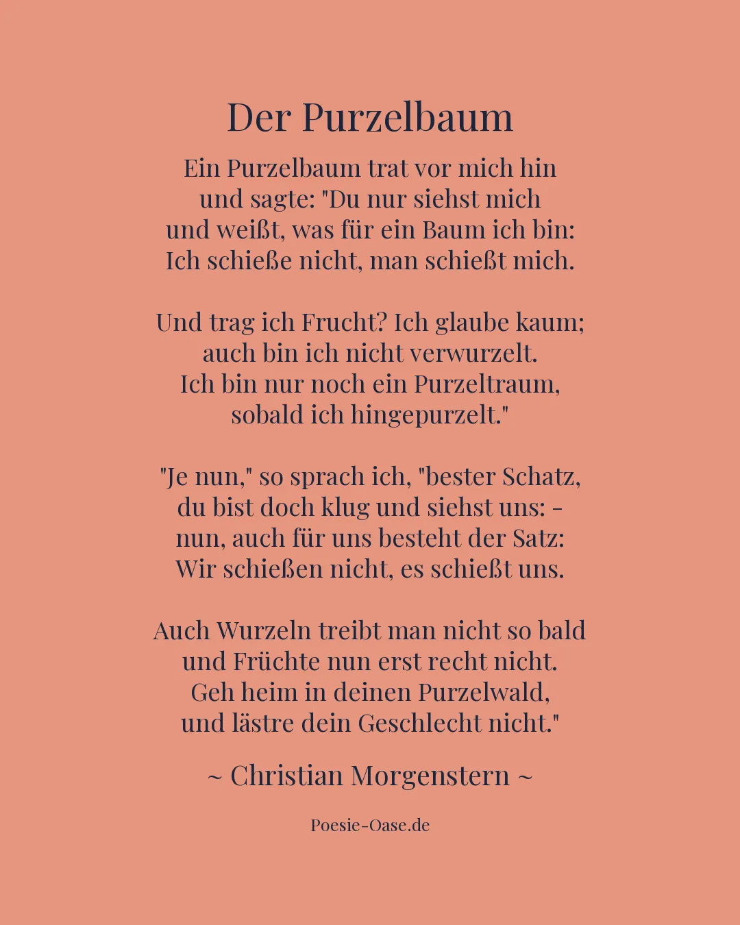 Illustration zu Der Purzelbaum
