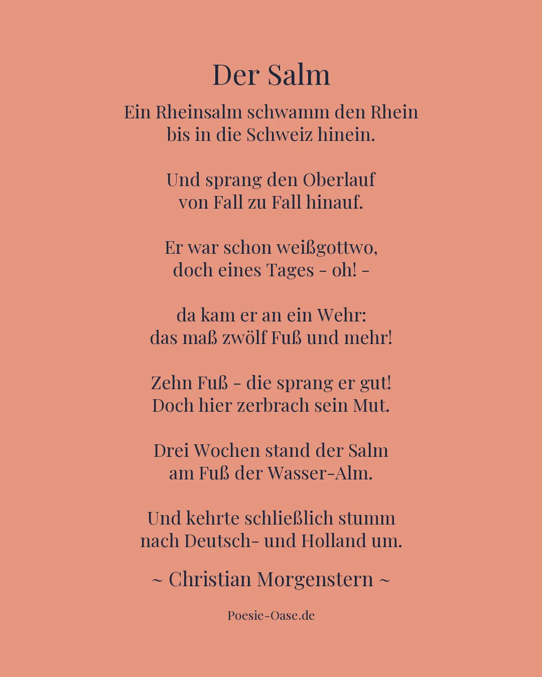 Illustration zu Der Salm
