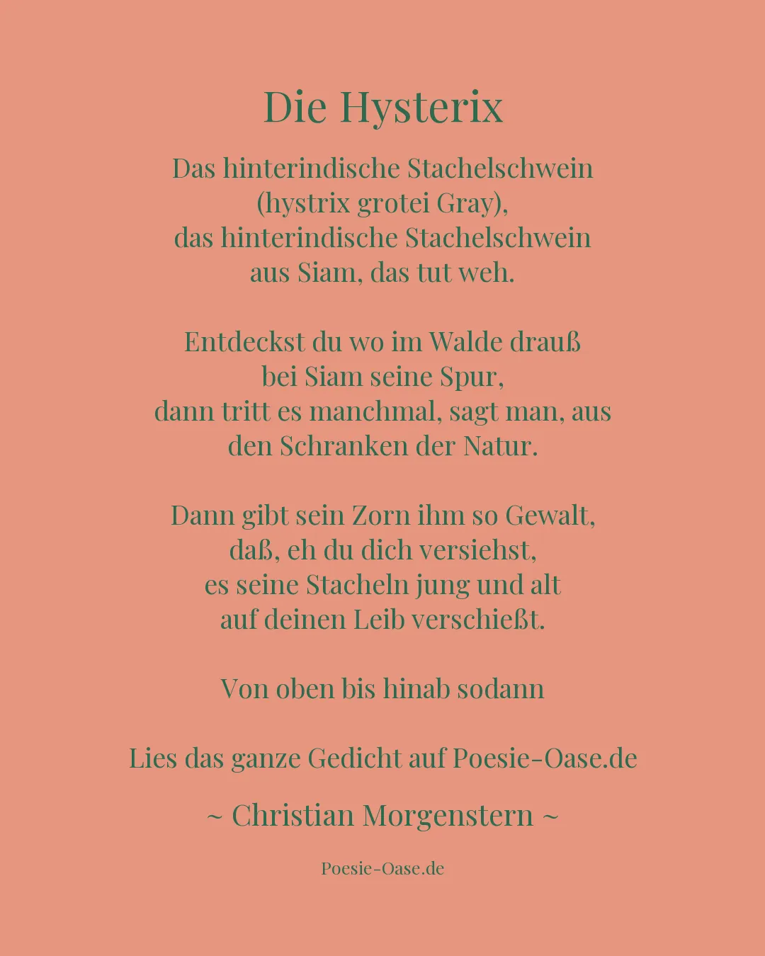 Illustration zu Die Hysterix