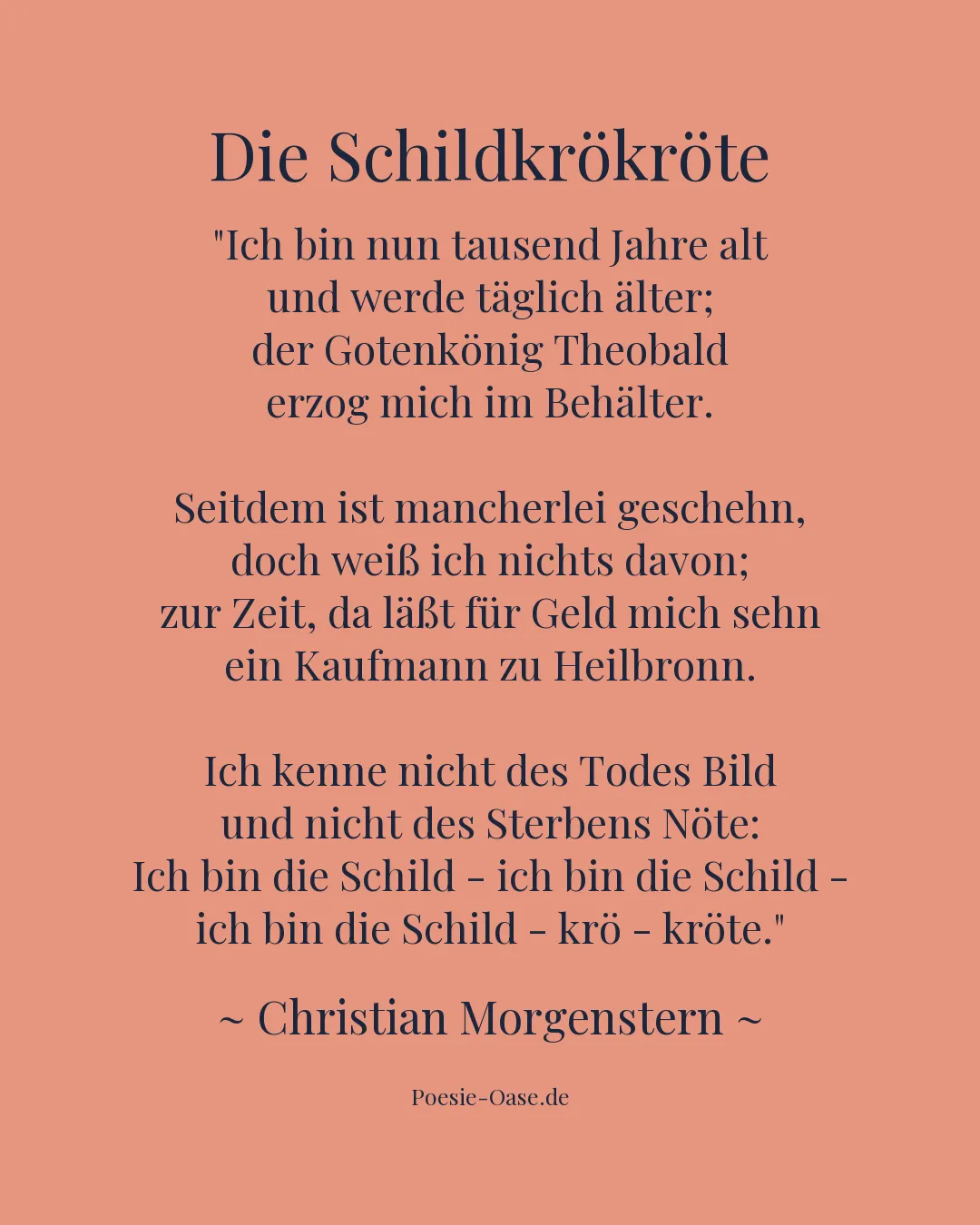 Illustration zu Die Schildkrökröte