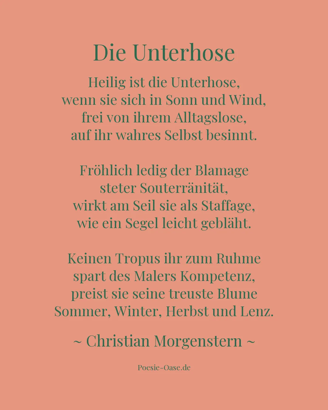 Illustration zu Die Unterhose