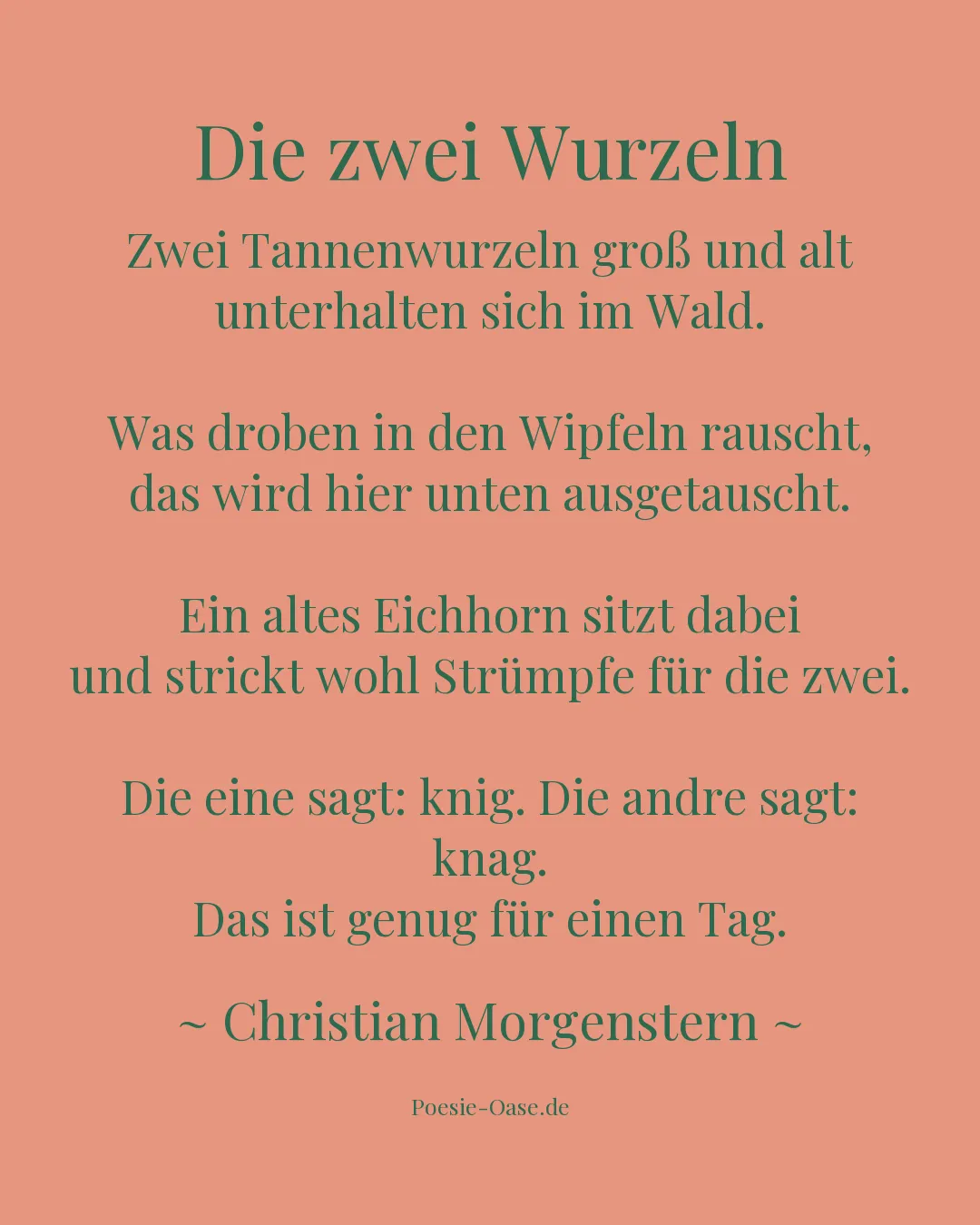 Illustration zu Die zwei Wurzeln