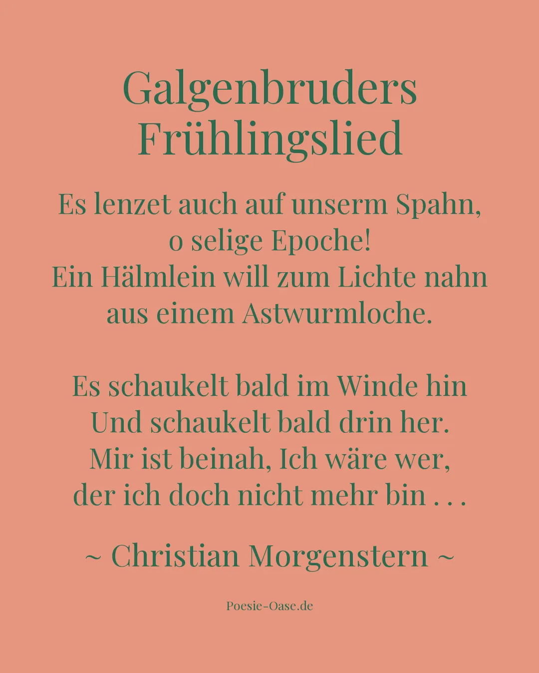 Illustration zu Galgenbruders Frühlingslied