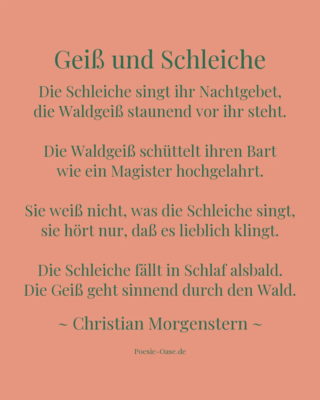Illustration zu Geiß und Schleiche