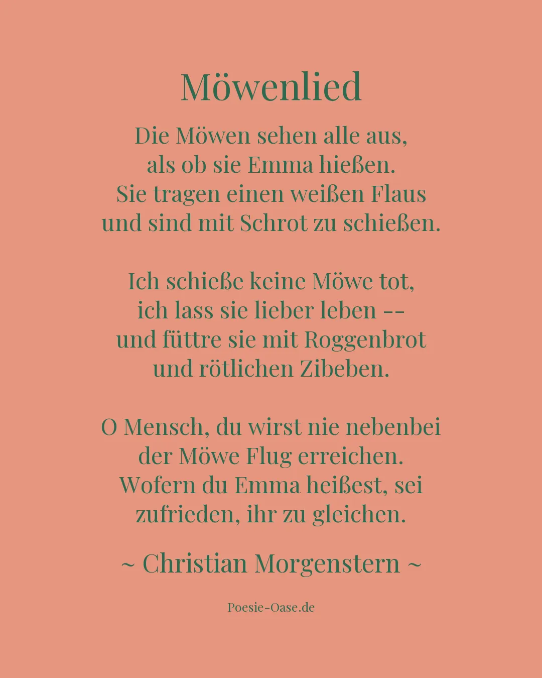 Illustration zu Möwenlied