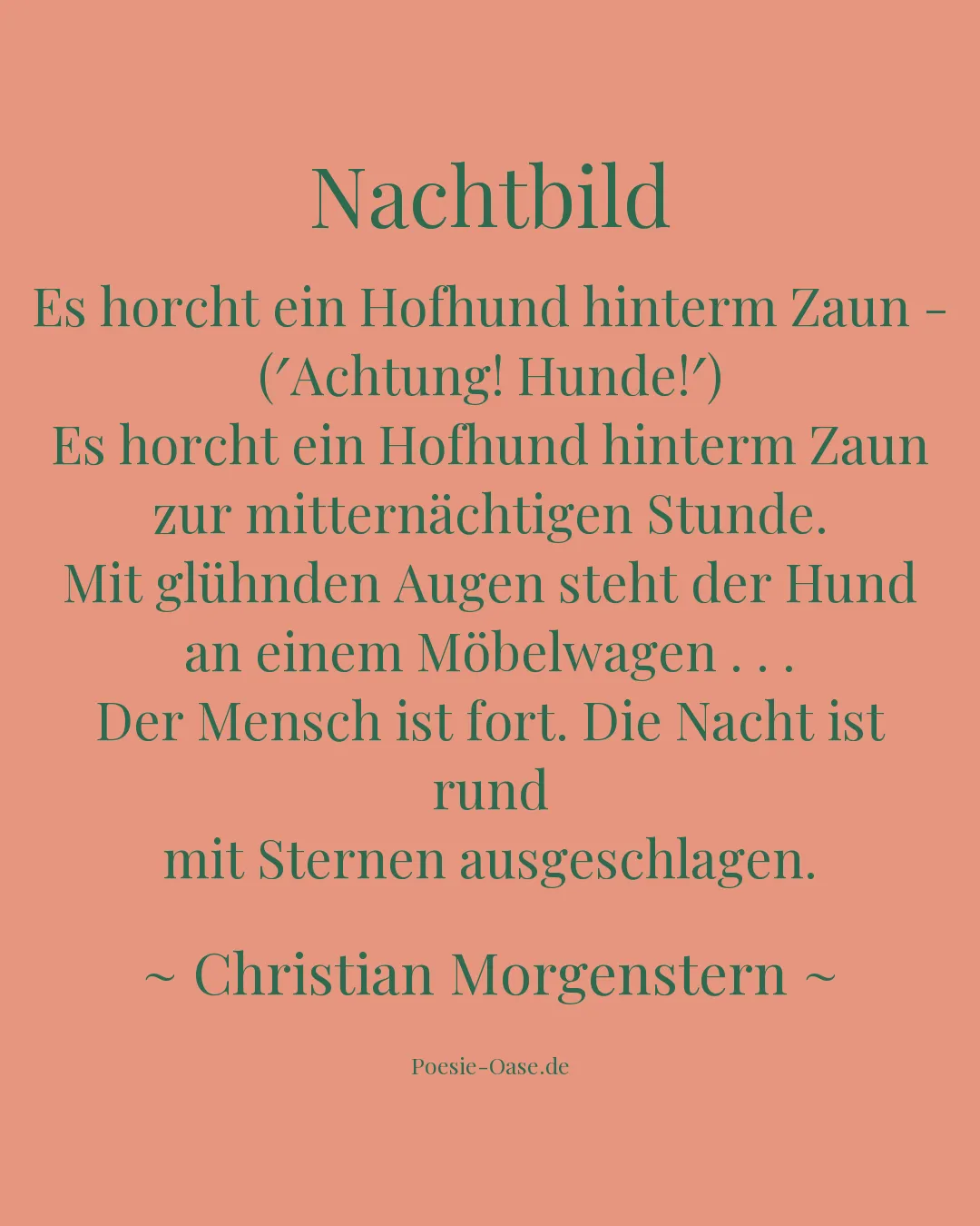 Illustration zu Nachtbild