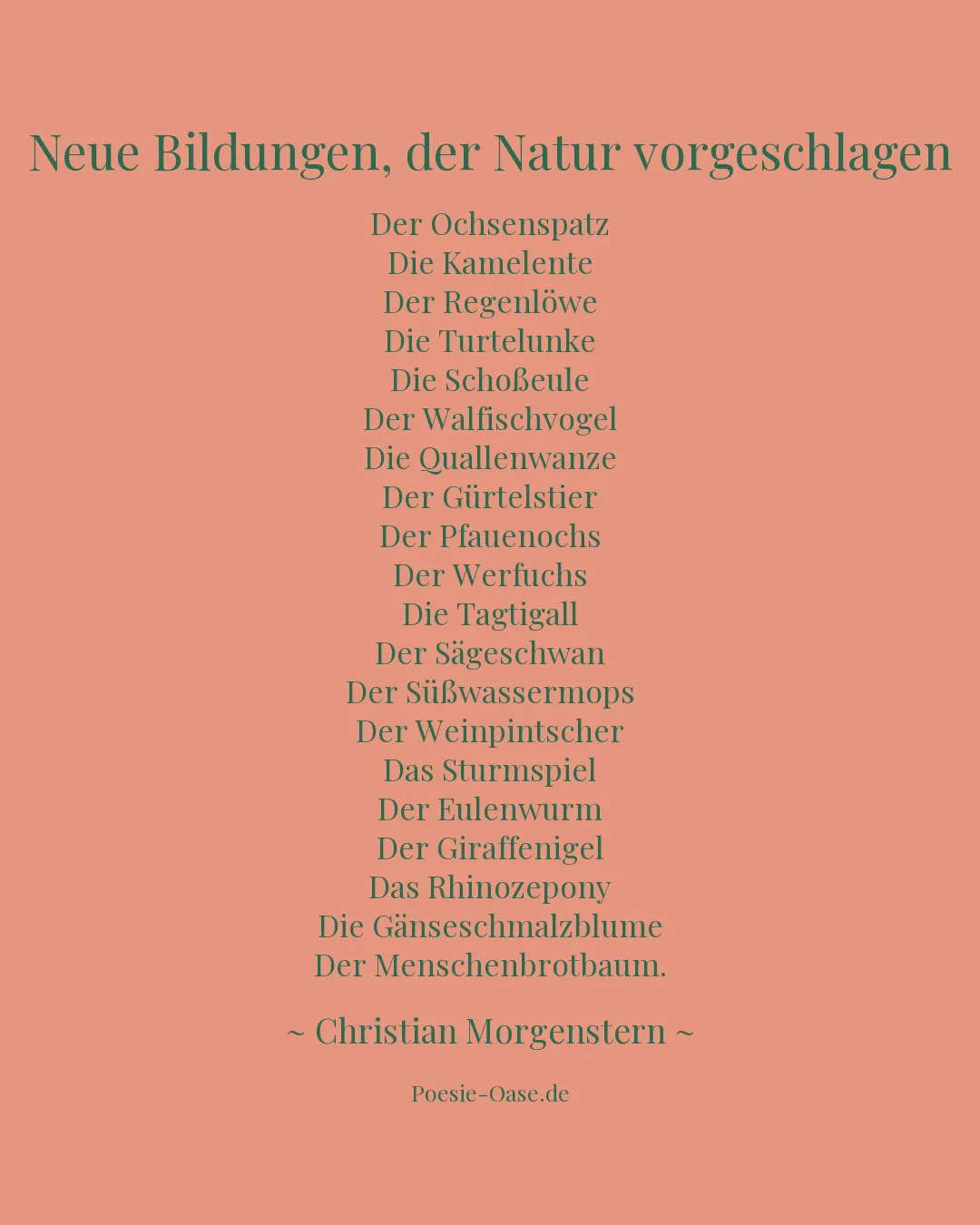 Illustration zu Neue Bildungen, der Natur vorgeschlagen