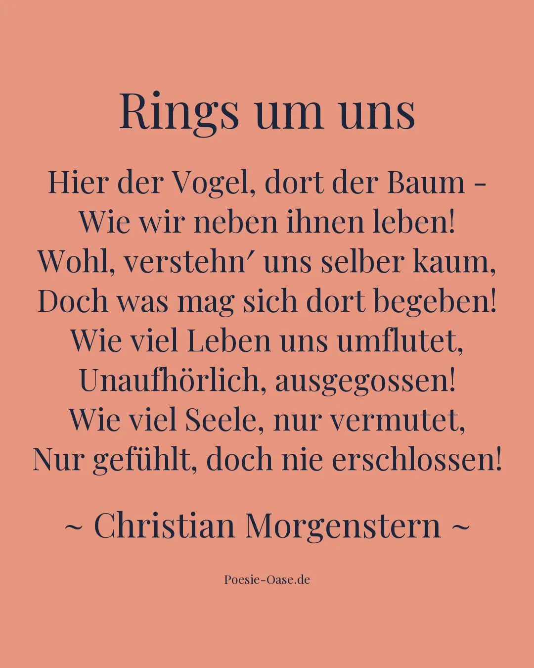 Illustration zu Rings um uns