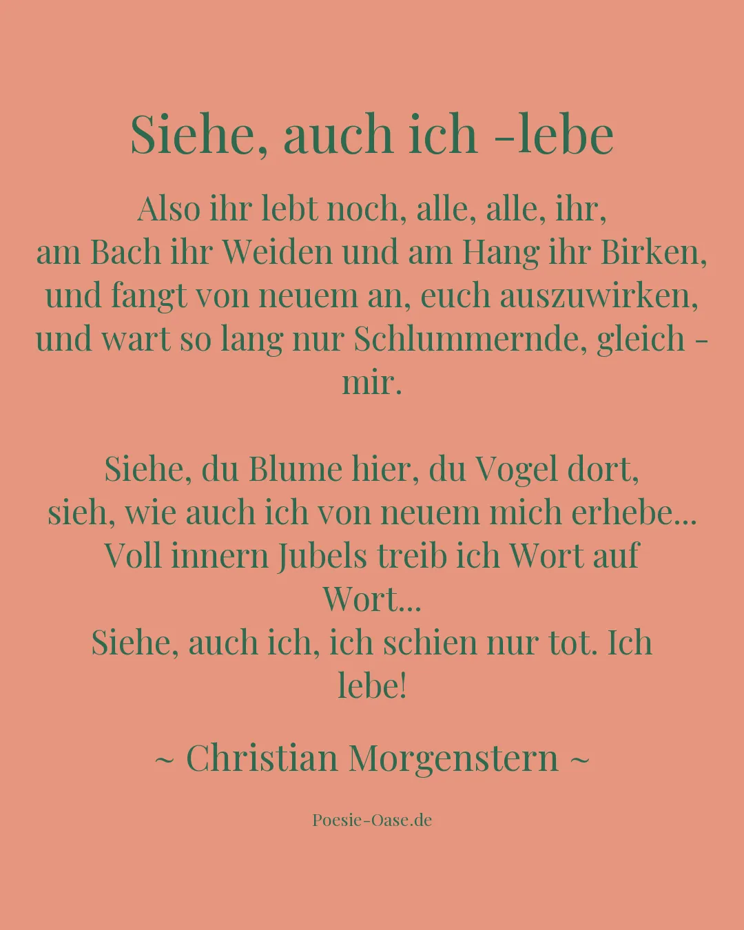Illustration zu Siehe, auch ich -lebe