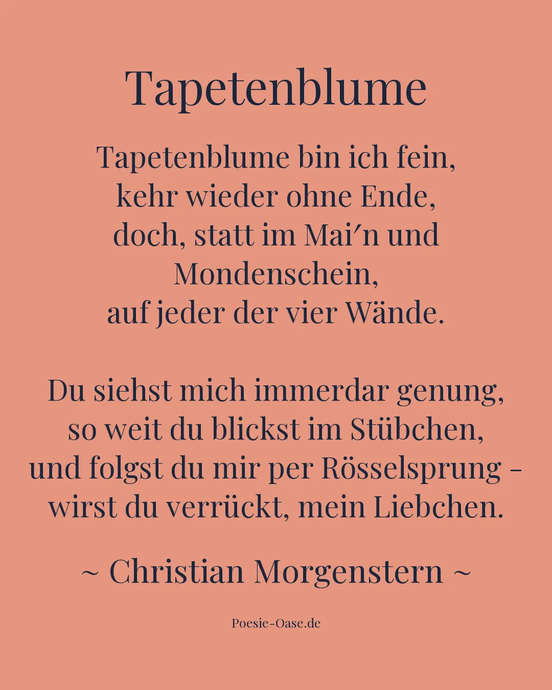 Illustration zu Tapetenblume