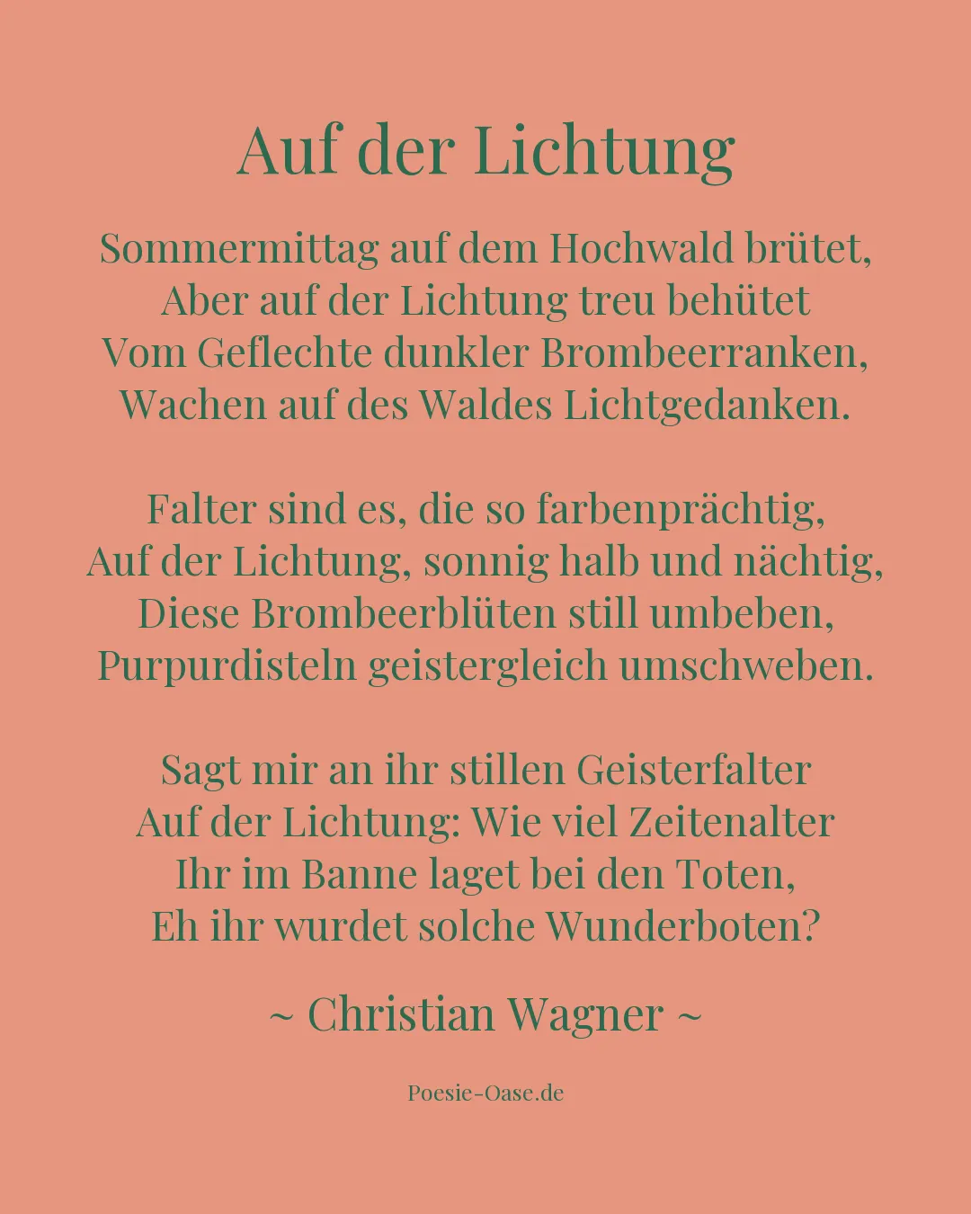 Illustration zu Auf der Lichtung
