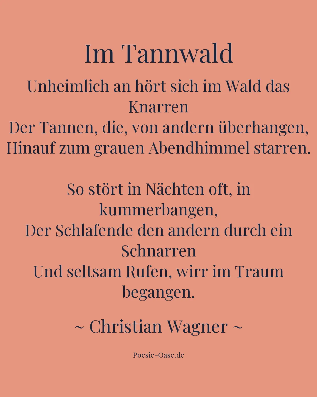 Illustration zu Im Tannwald