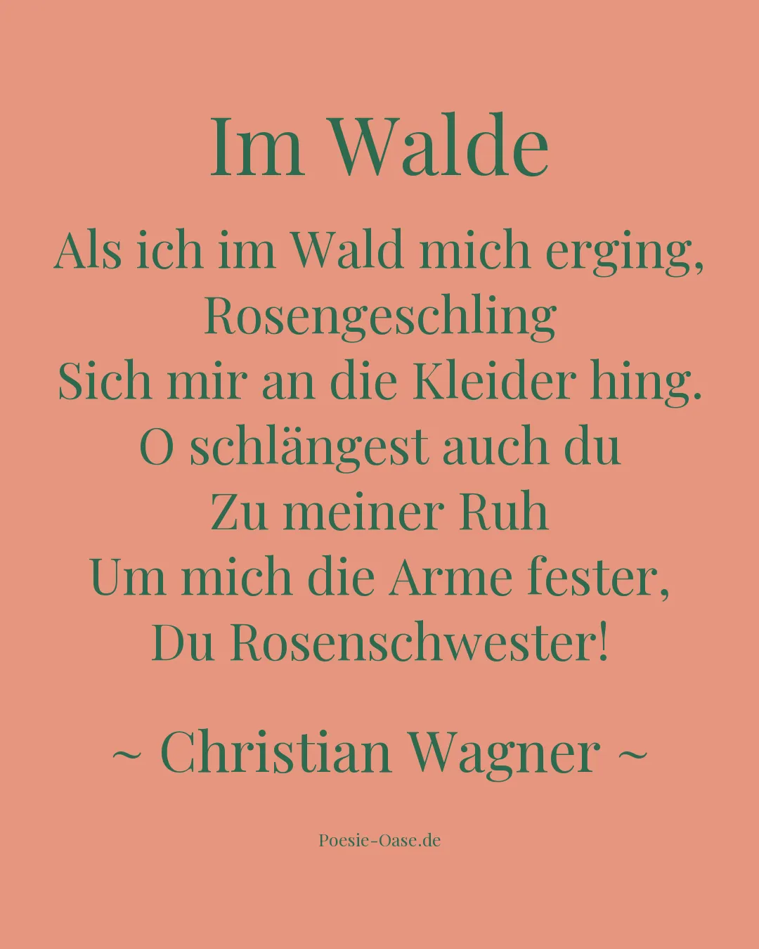 Illustration zu Im Walde