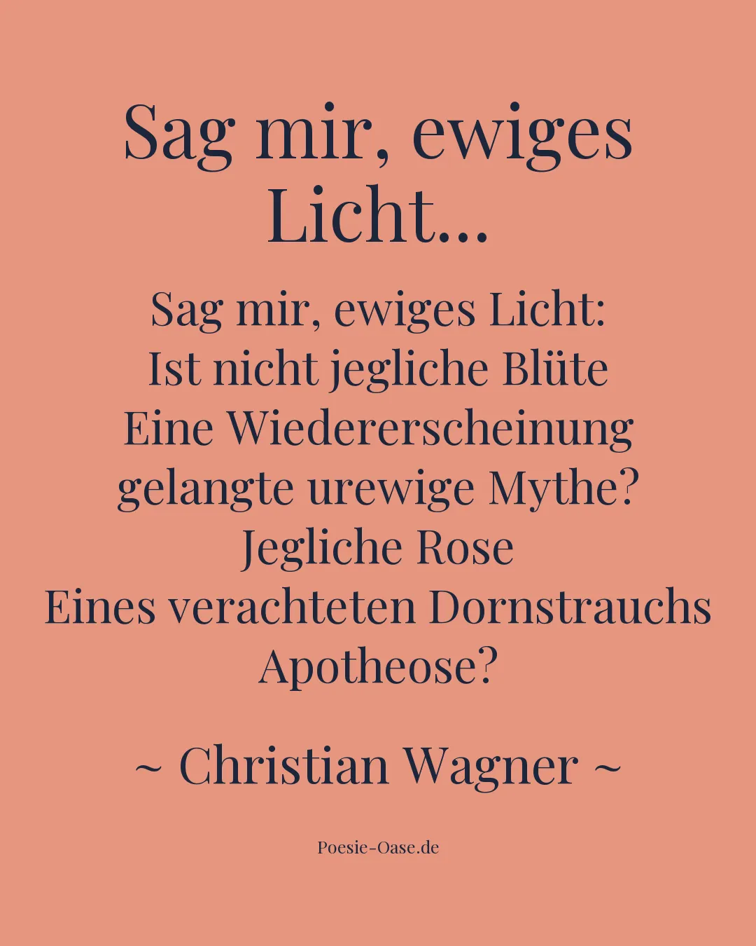 Illustration zu Sag mir, ewiges Licht...