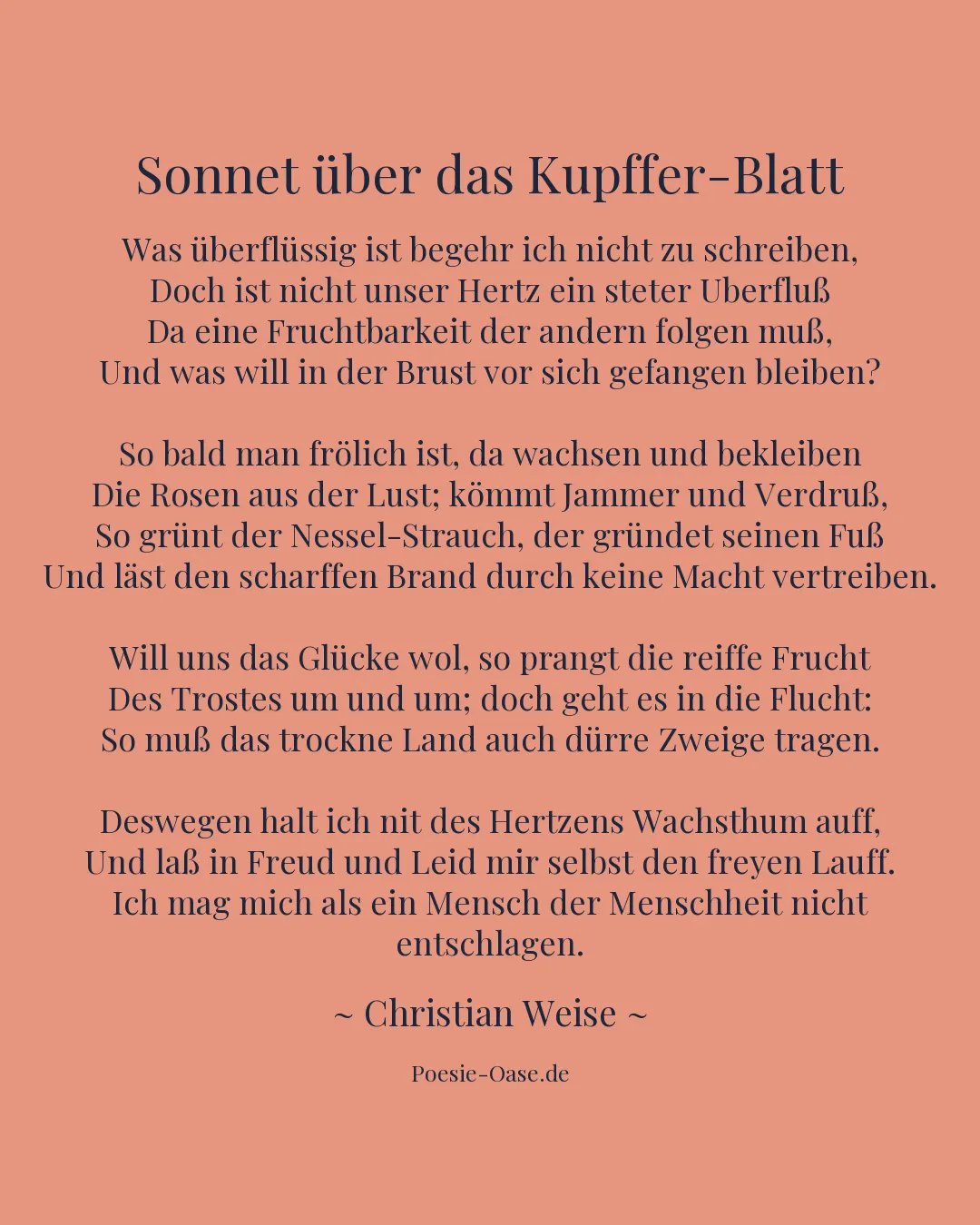 Illustration zu Sonnet über das Kupffer-Blatt