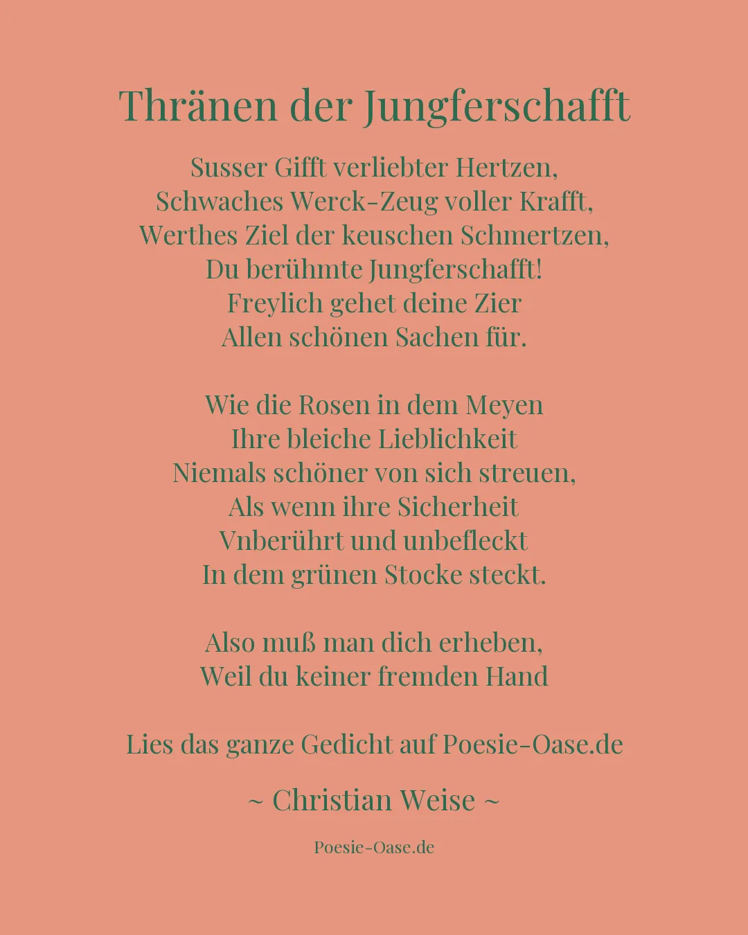 Illustration zu Thränen der Jungferschafft