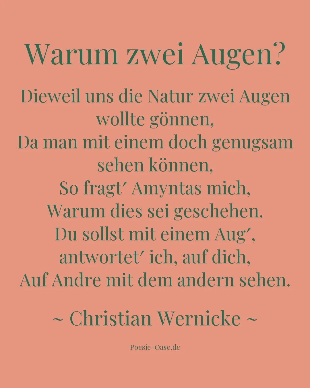 Illustration zu Warum zwei Augen?