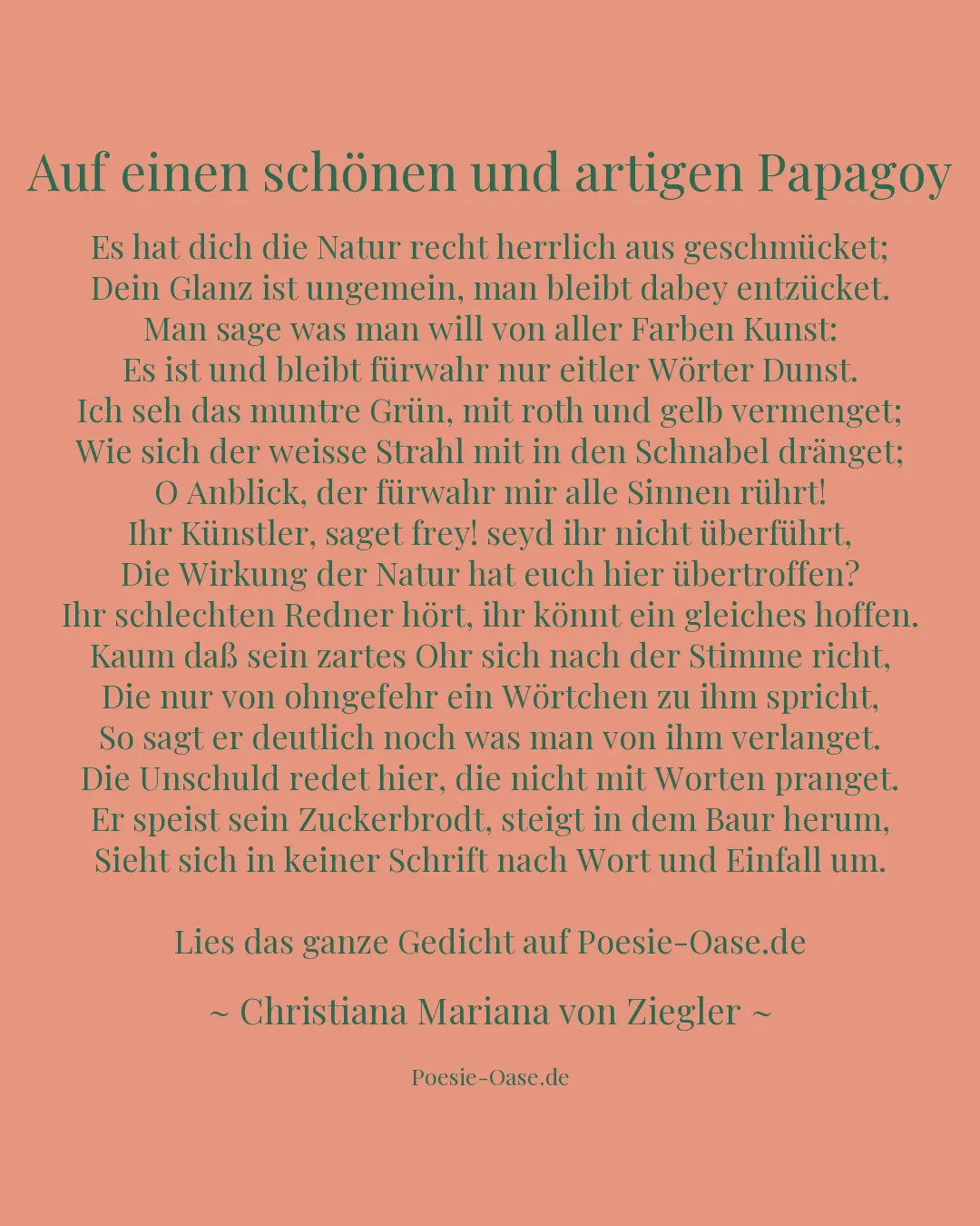 Illustration zu Auf einen schönen und artigen Papagoy