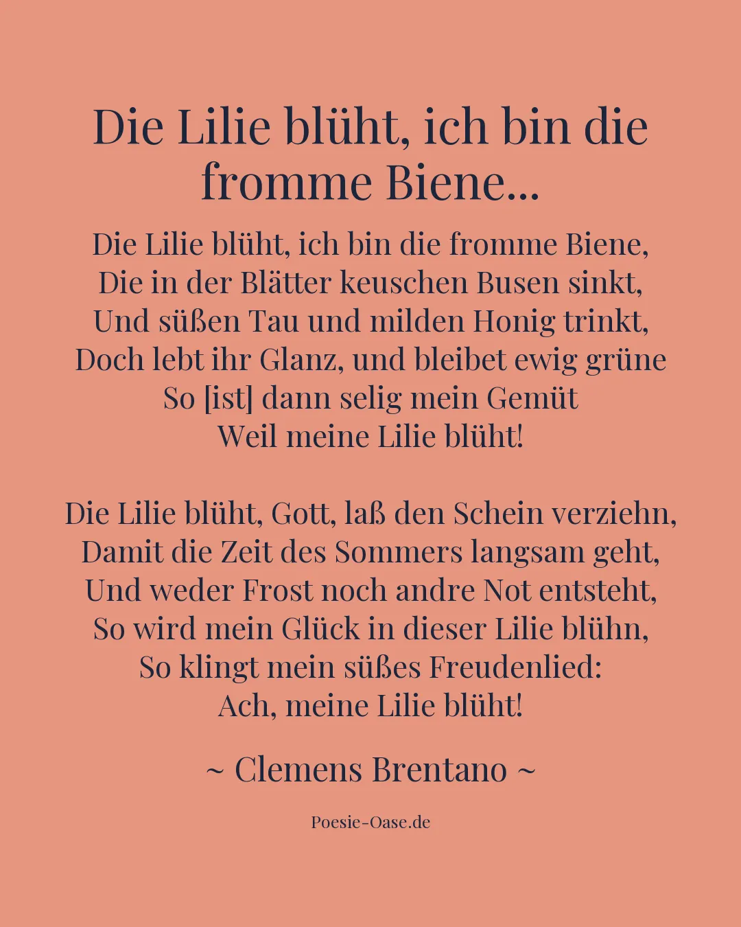 Illustration zu Die Lilie blüht, ich bin die fromme Biene...