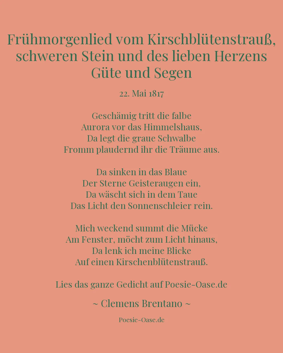 Illustration zu Frühmorgenlied vom Kirschblütenstrauß, schweren Stein und des lieben Herzens Güte und Segen