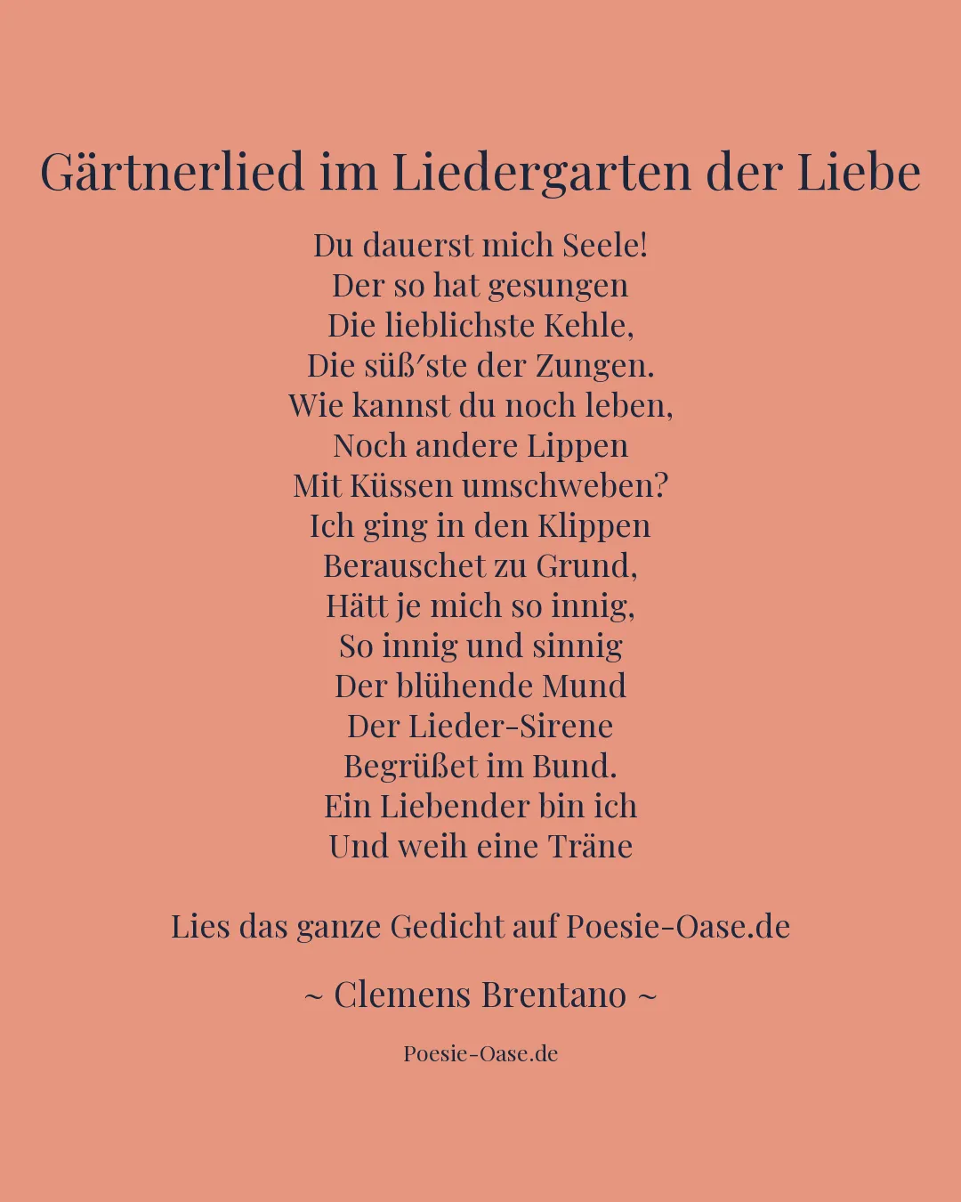 Illustration zu Gärtnerlied im Liedergarten der Liebe