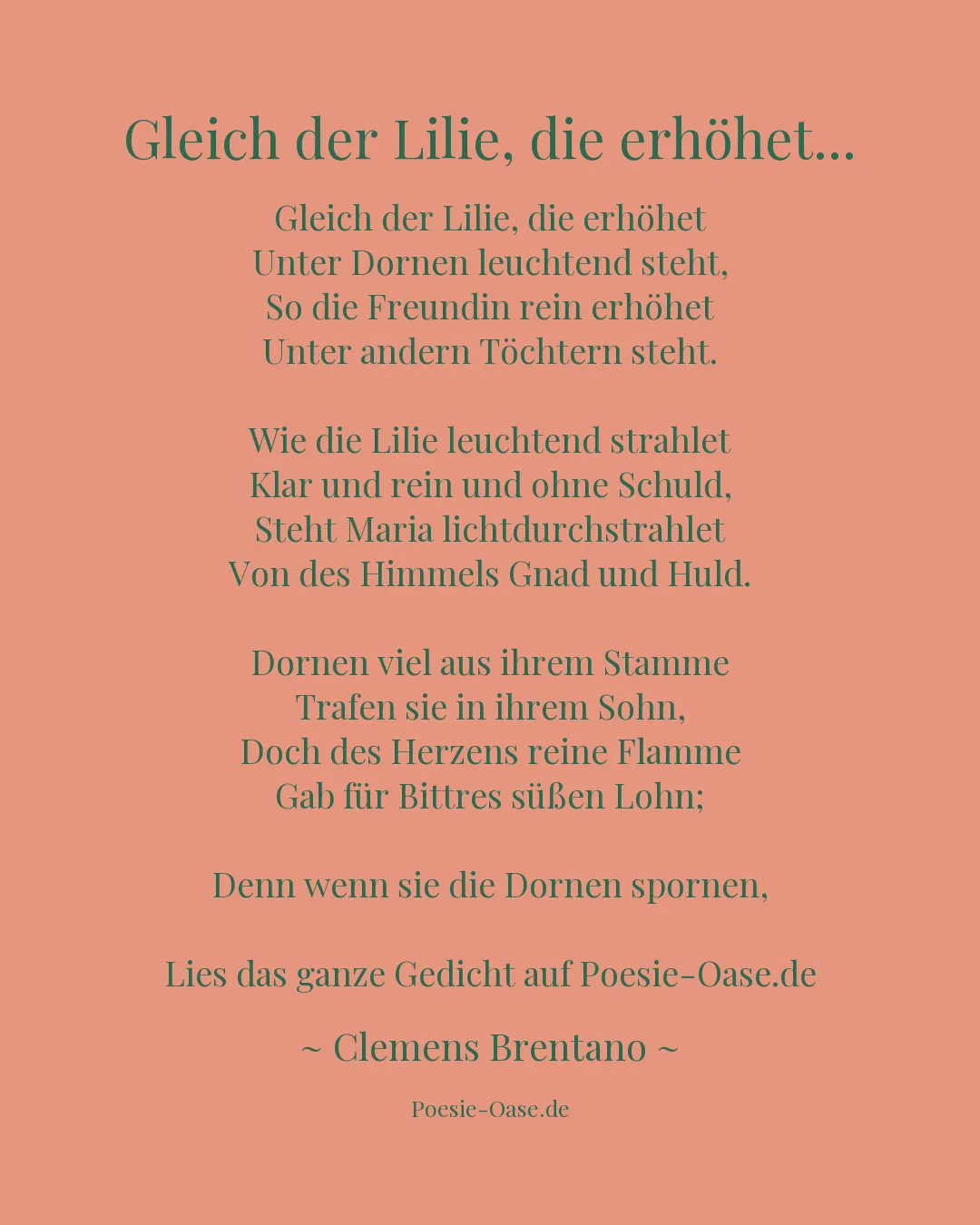 Illustration zu Gleich der Lilie, die erhöhet...