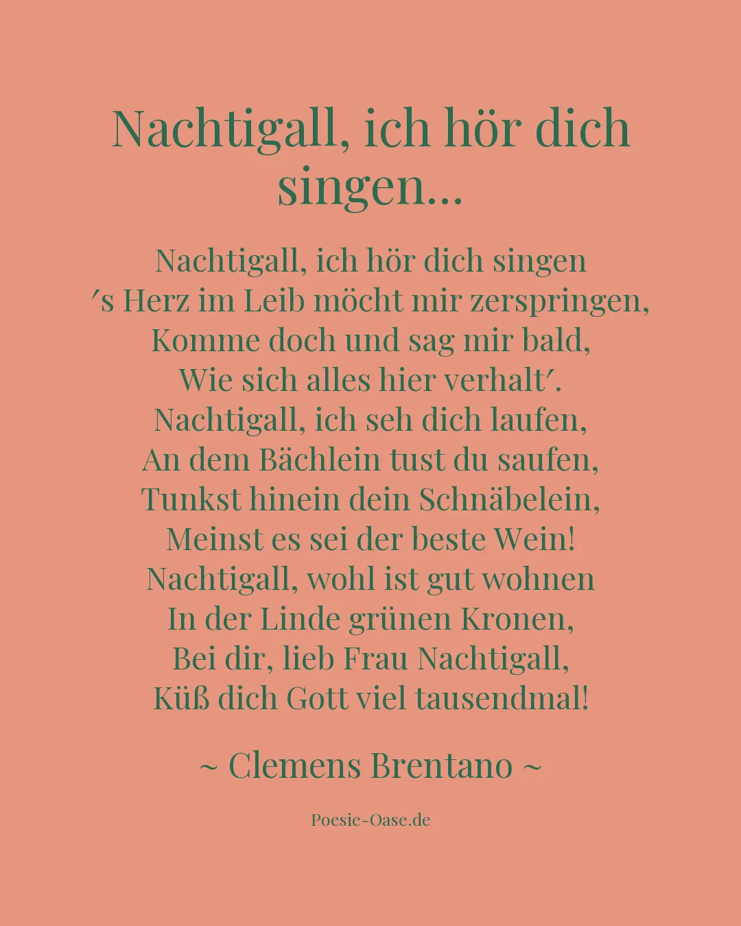 Illustration zu Nachtigall, ich hör dich singen...