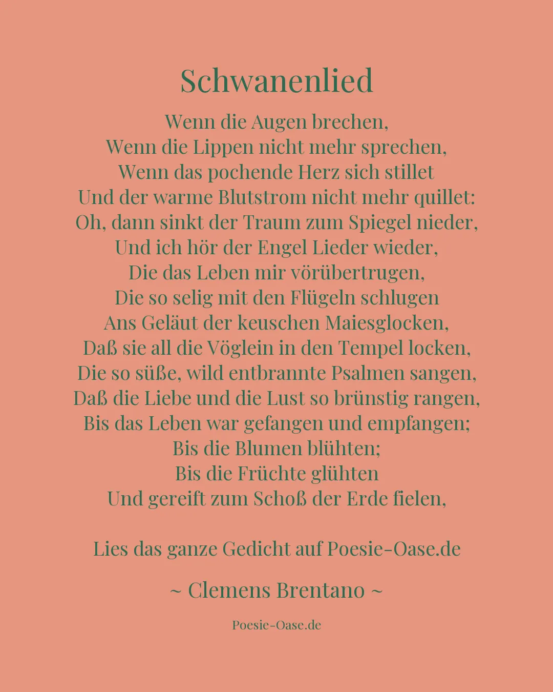 Illustration zu Schwanenlied