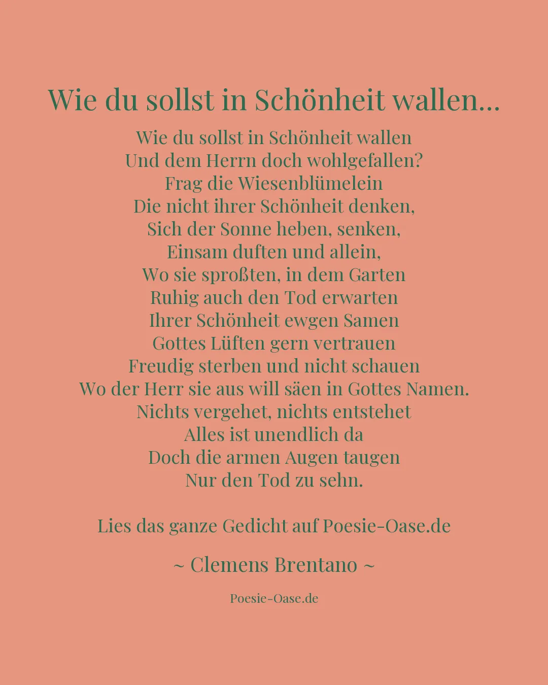 Illustration zu Wie du sollst in Schönheit wallen...