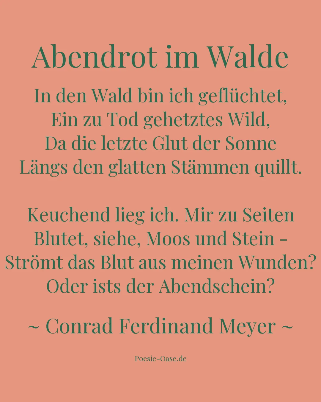 Illustration zu Abendrot im Walde