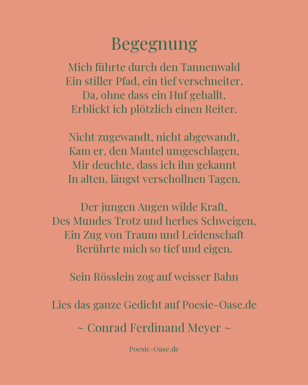 Illustration zu Begegnung