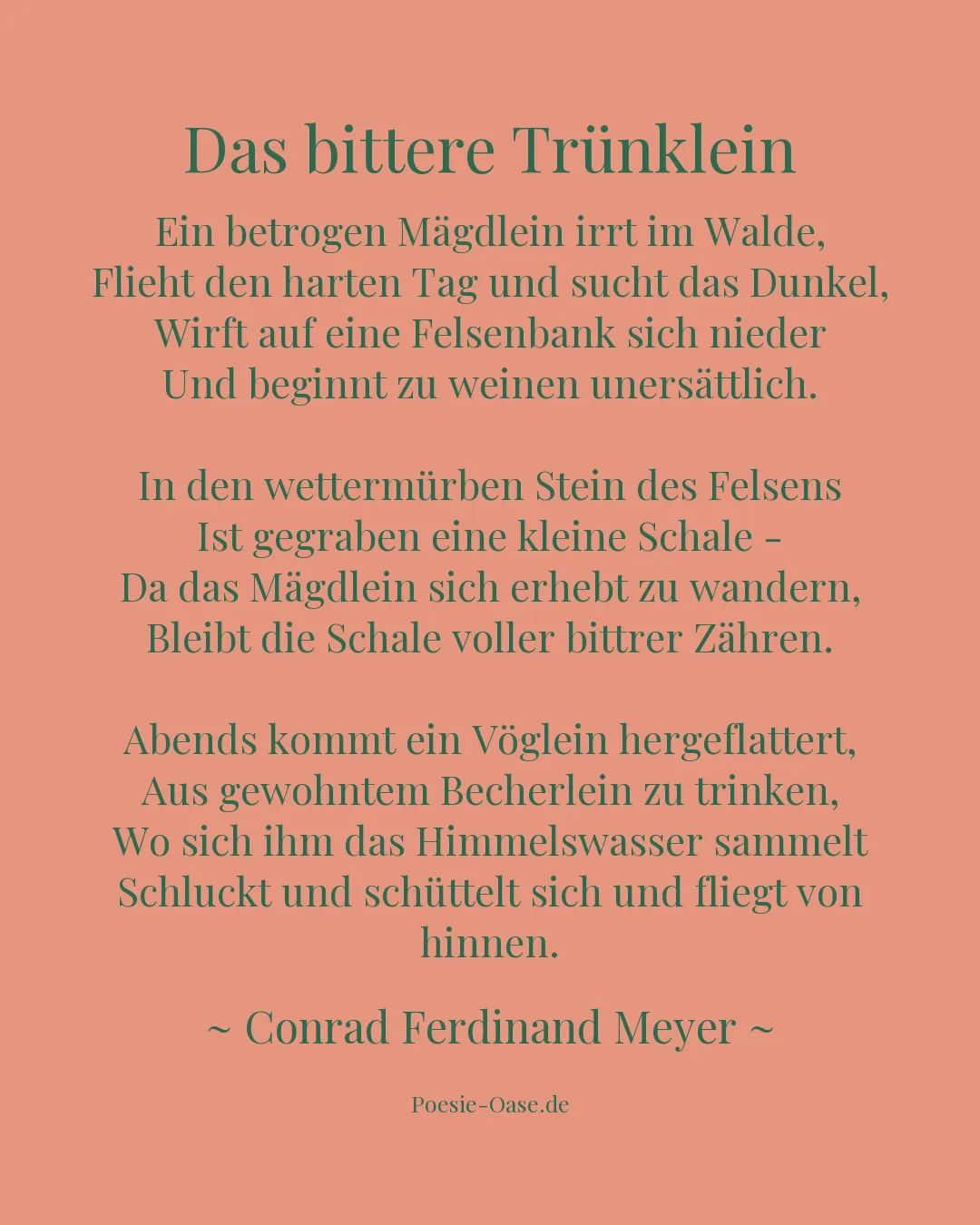 Illustration zu Das bittere Trünklein