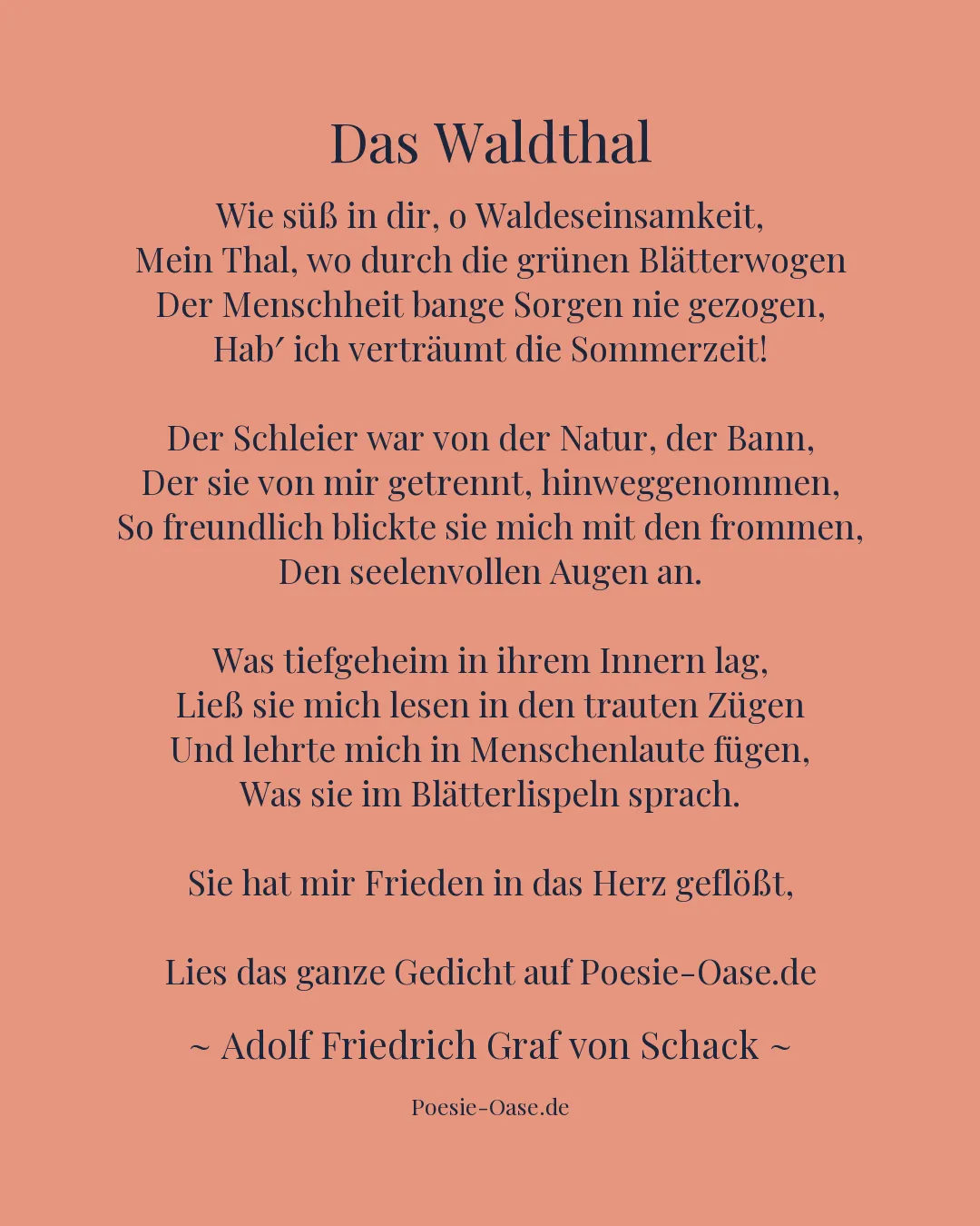 Illustration zu Das Waldthal