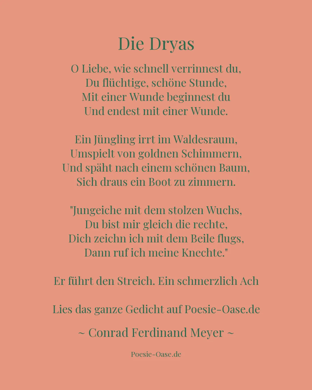 Illustration zu Die Dryas