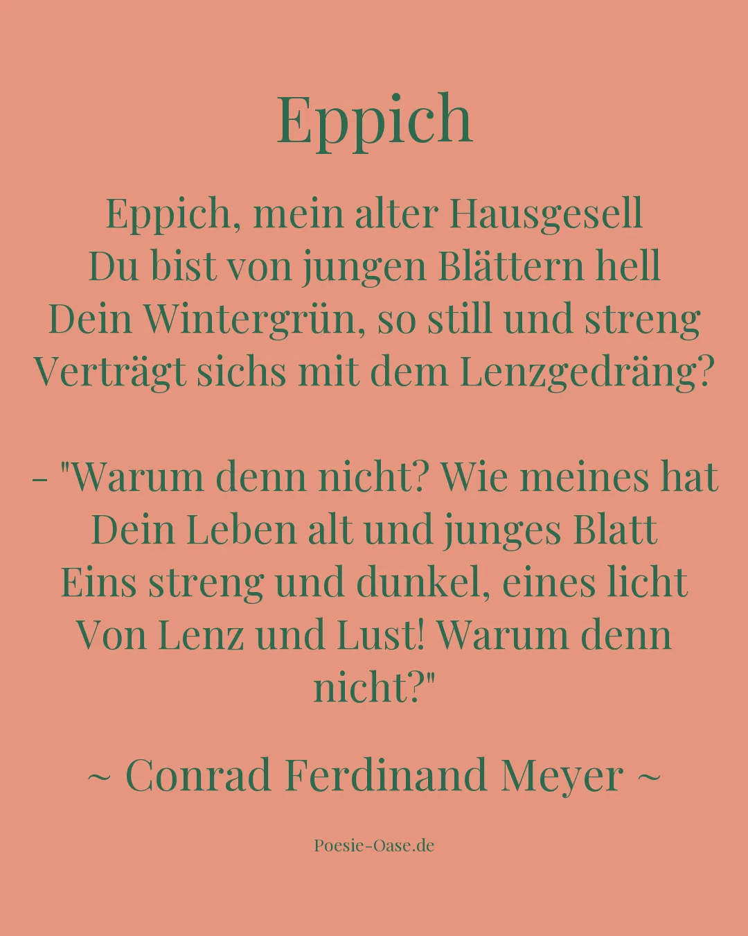 Illustration zu Eppich