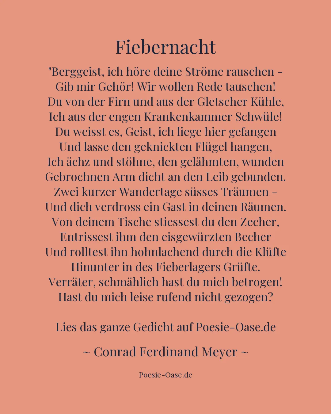 Illustration zu Fiebernacht