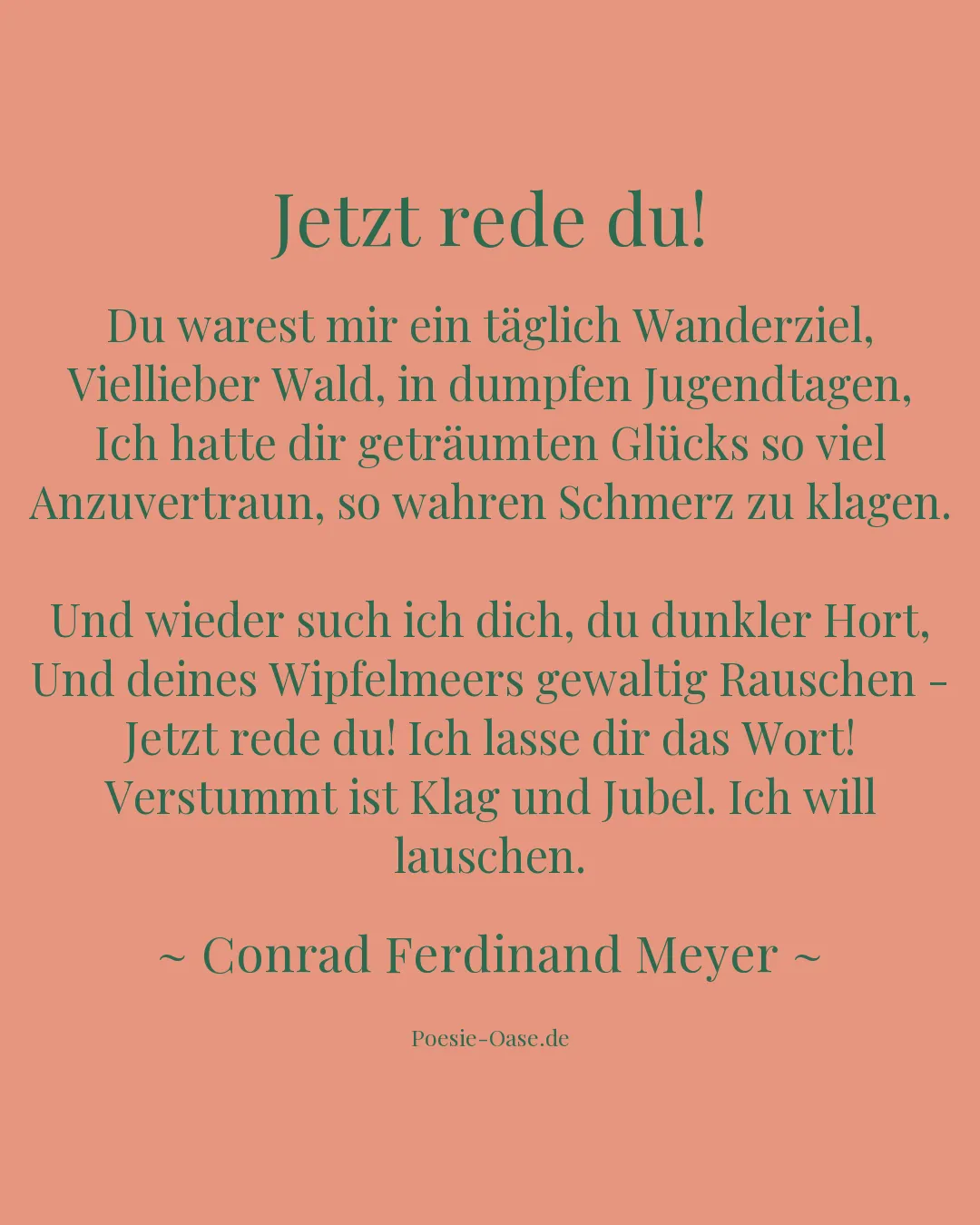 Illustration zu Jetzt rede du!