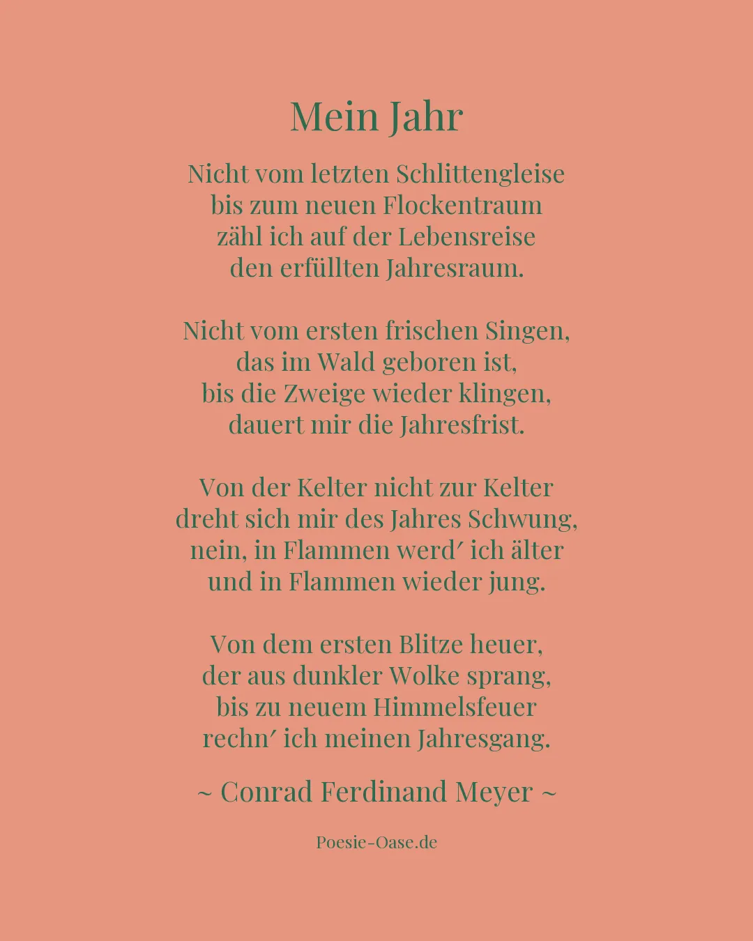 Illustration zu Mein Jahr
