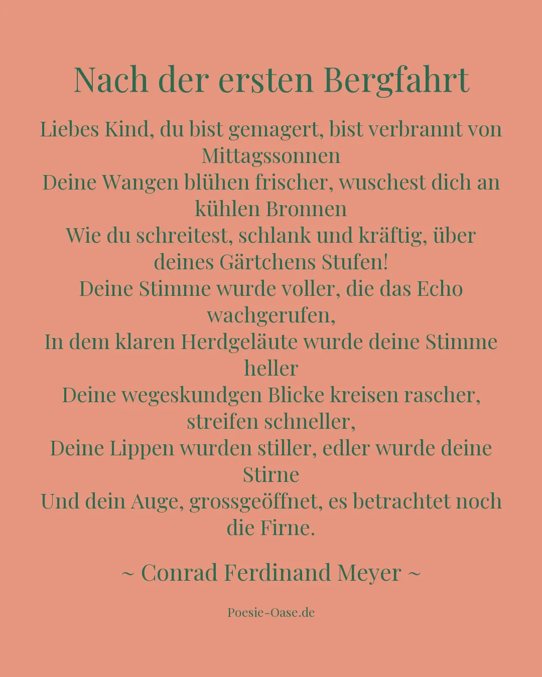 Illustration zu Nach der ersten Bergfahrt