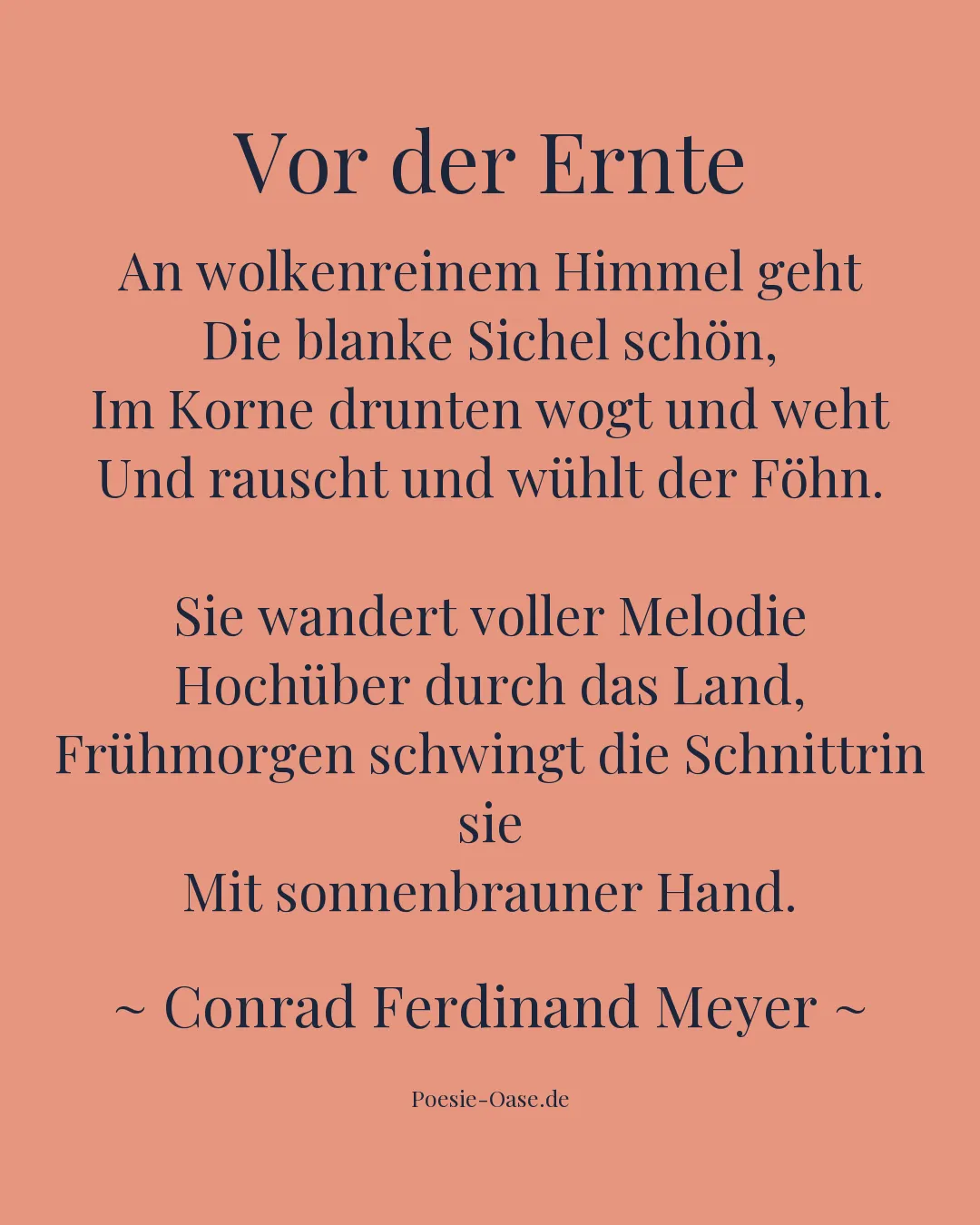 Illustration zu Vor der Ernte