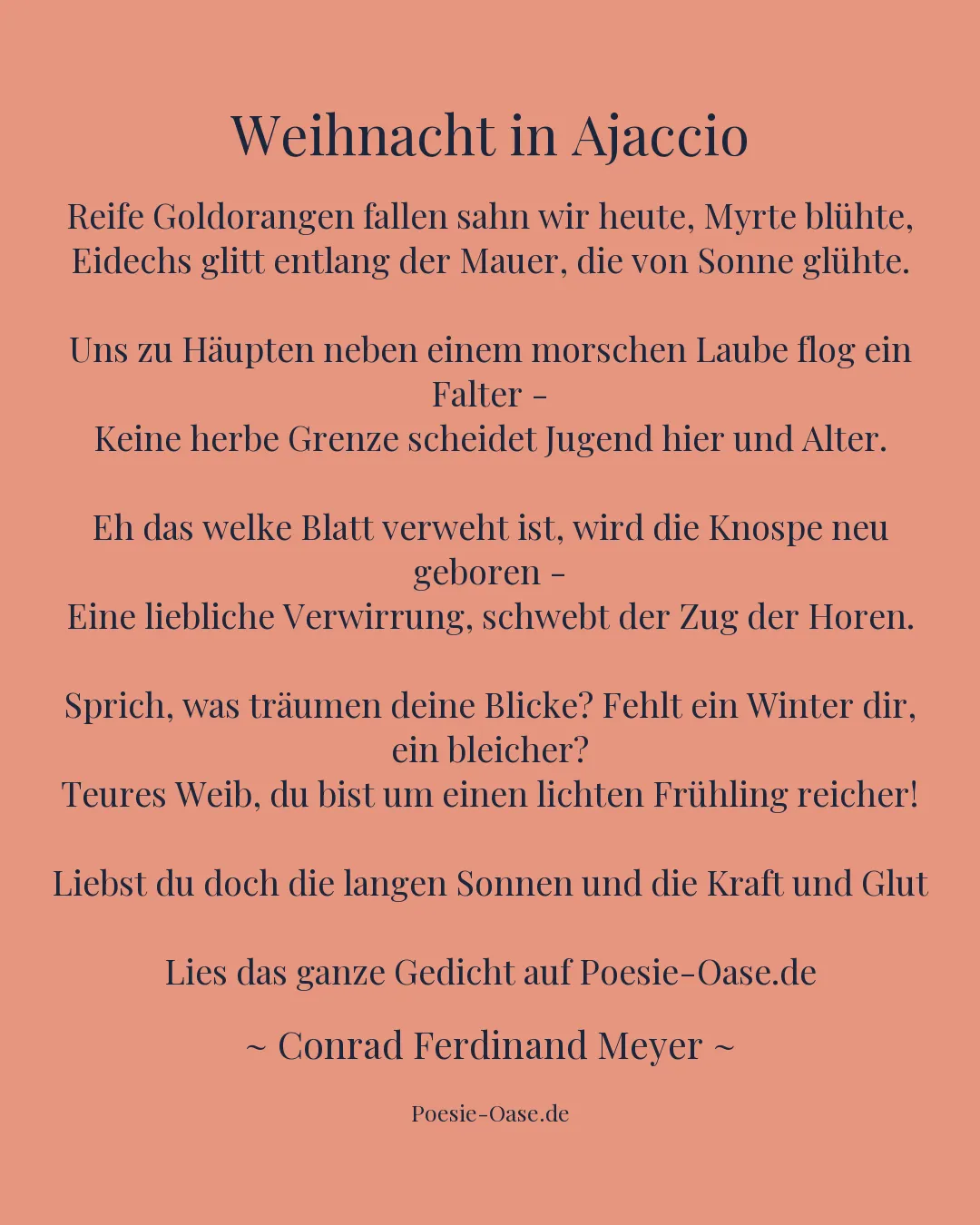 Illustration zu Weihnacht in Ajaccio
