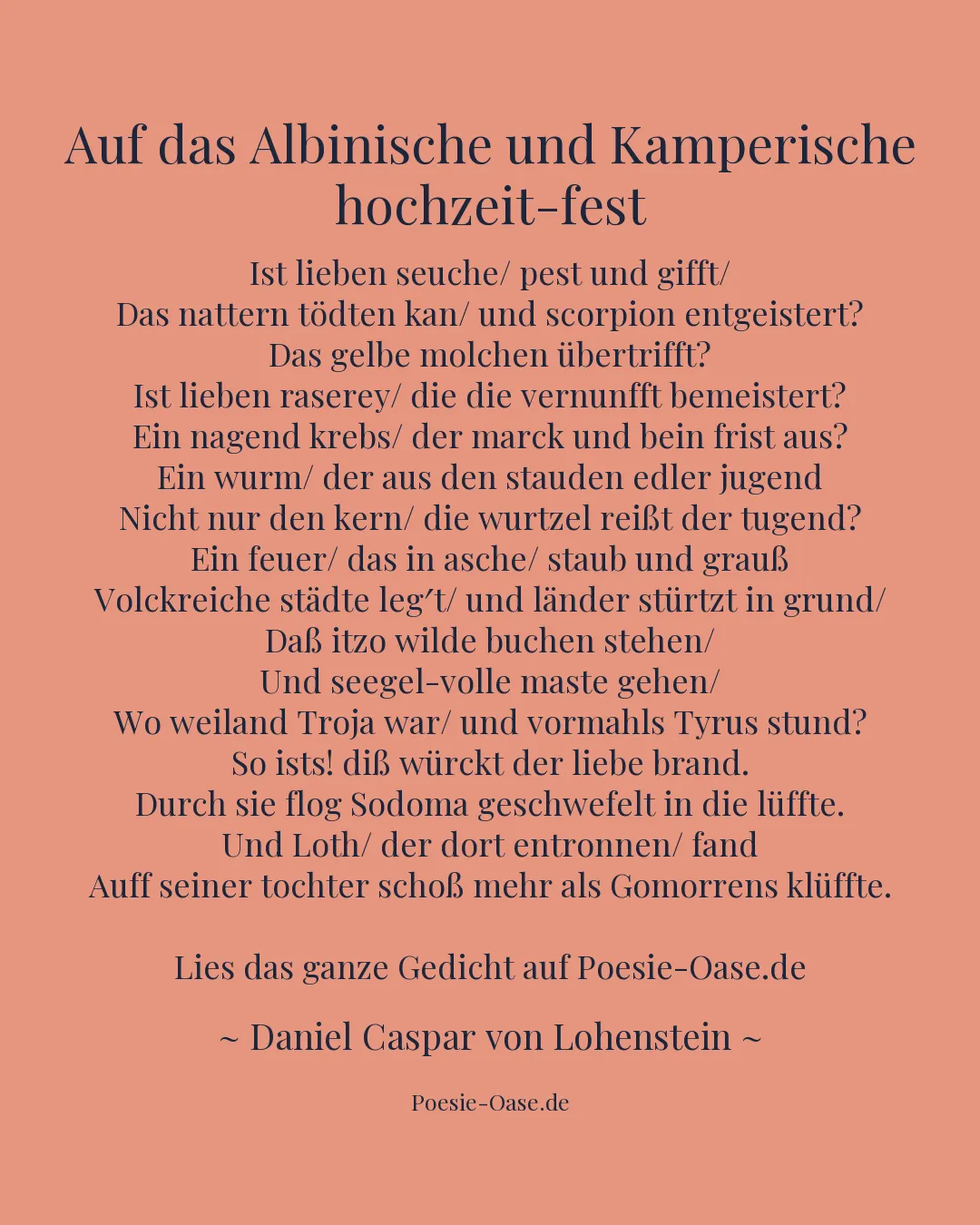 Illustration zu Auf das Albinische und Kamperische hochzeit-fest