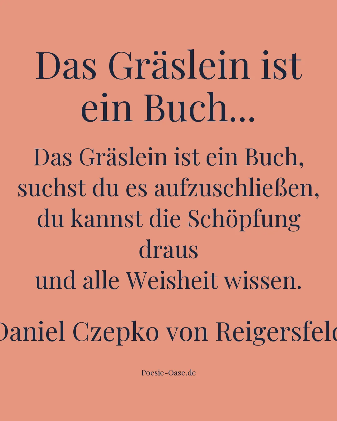Illustration zu Das Gräslein ist ein Buch...