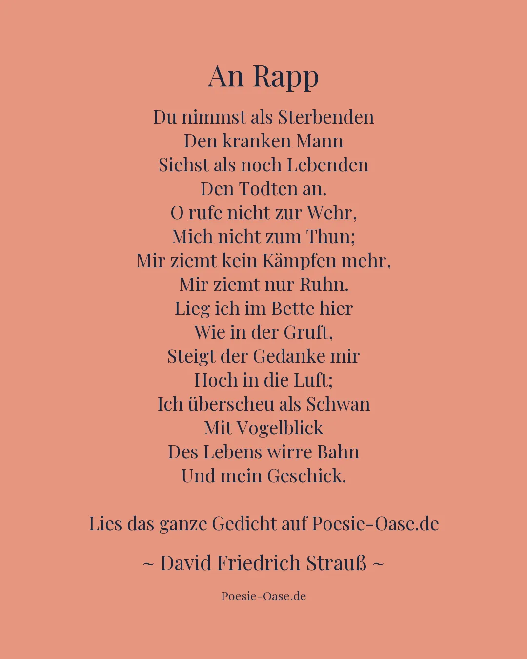 Illustration zu An Rapp