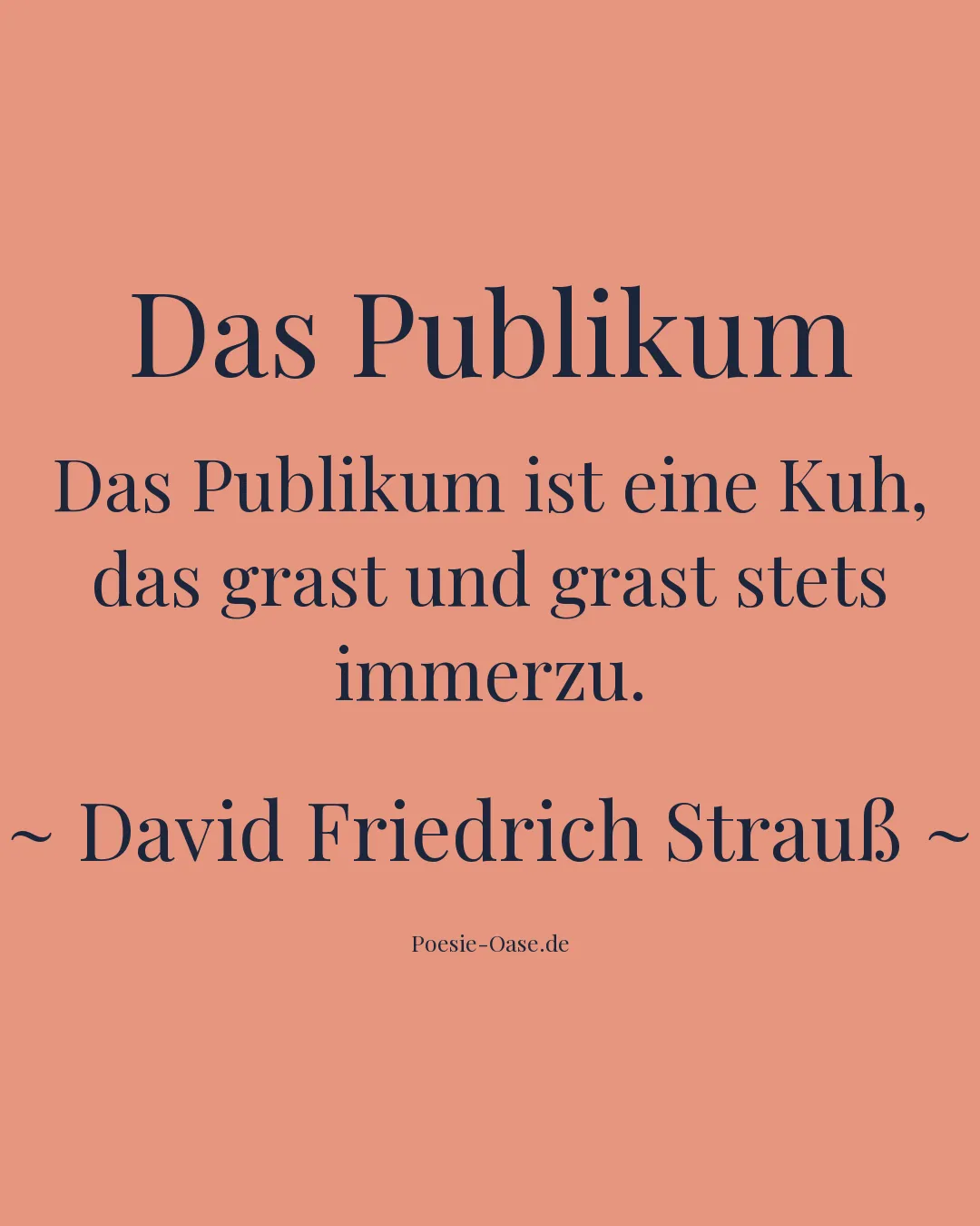 Illustration zu Das Publikum