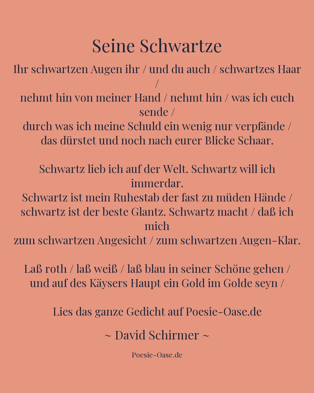 Illustration zu Seine Schwartze